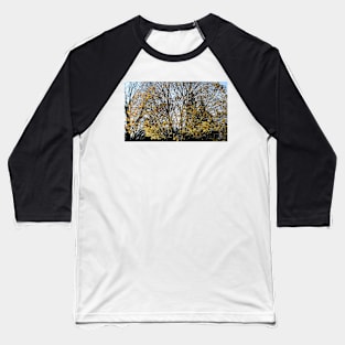 Trees and Sky Baseball T-Shirt